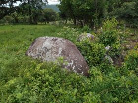 Hieroglyph in a pasture in Boquete, Panama – Best Places In The World To Retire – International Living